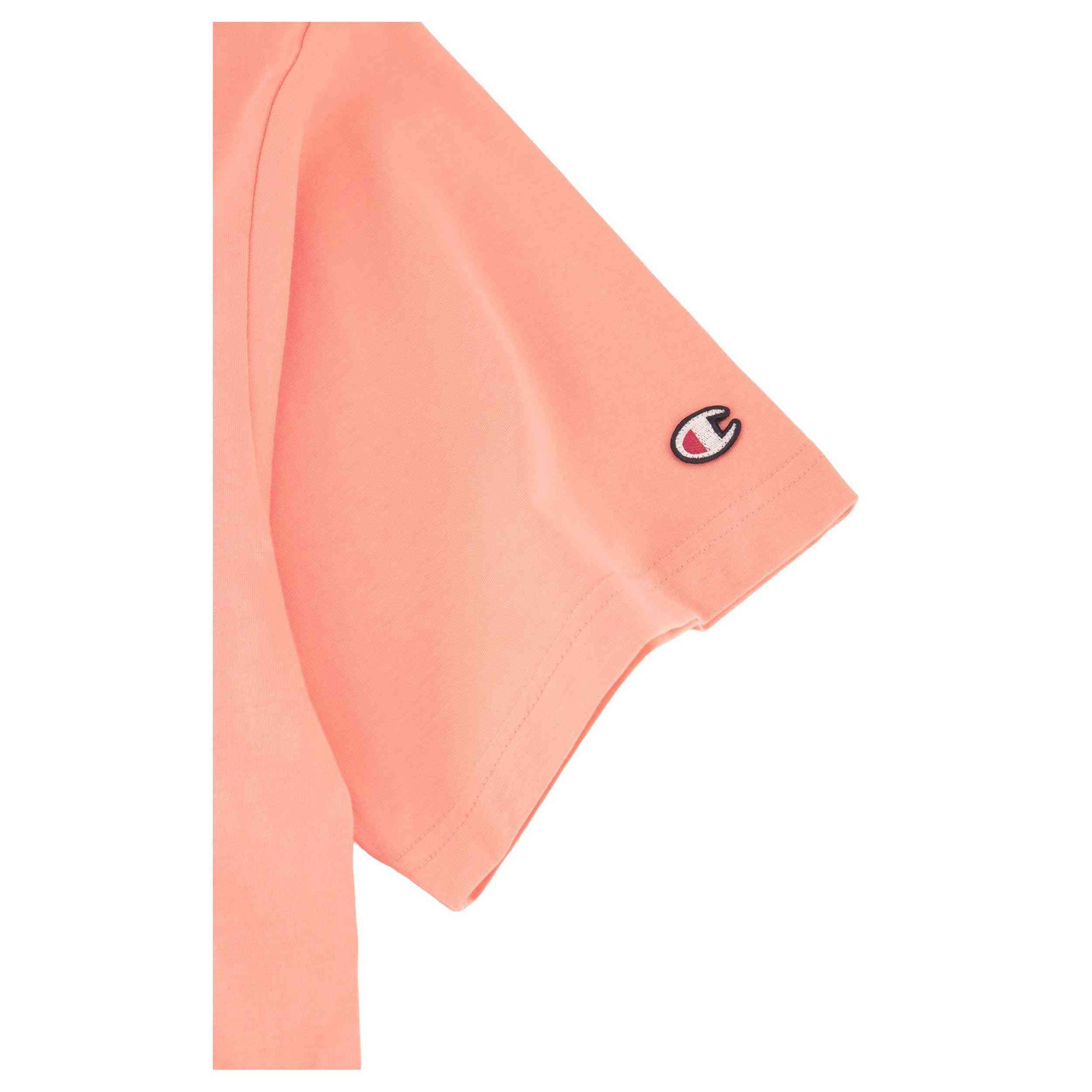  Champion 219847-Ps093