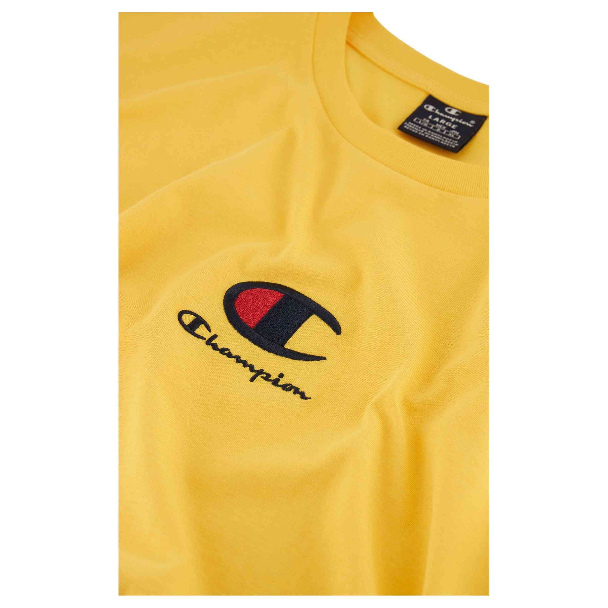  Champion 219847-Ys107