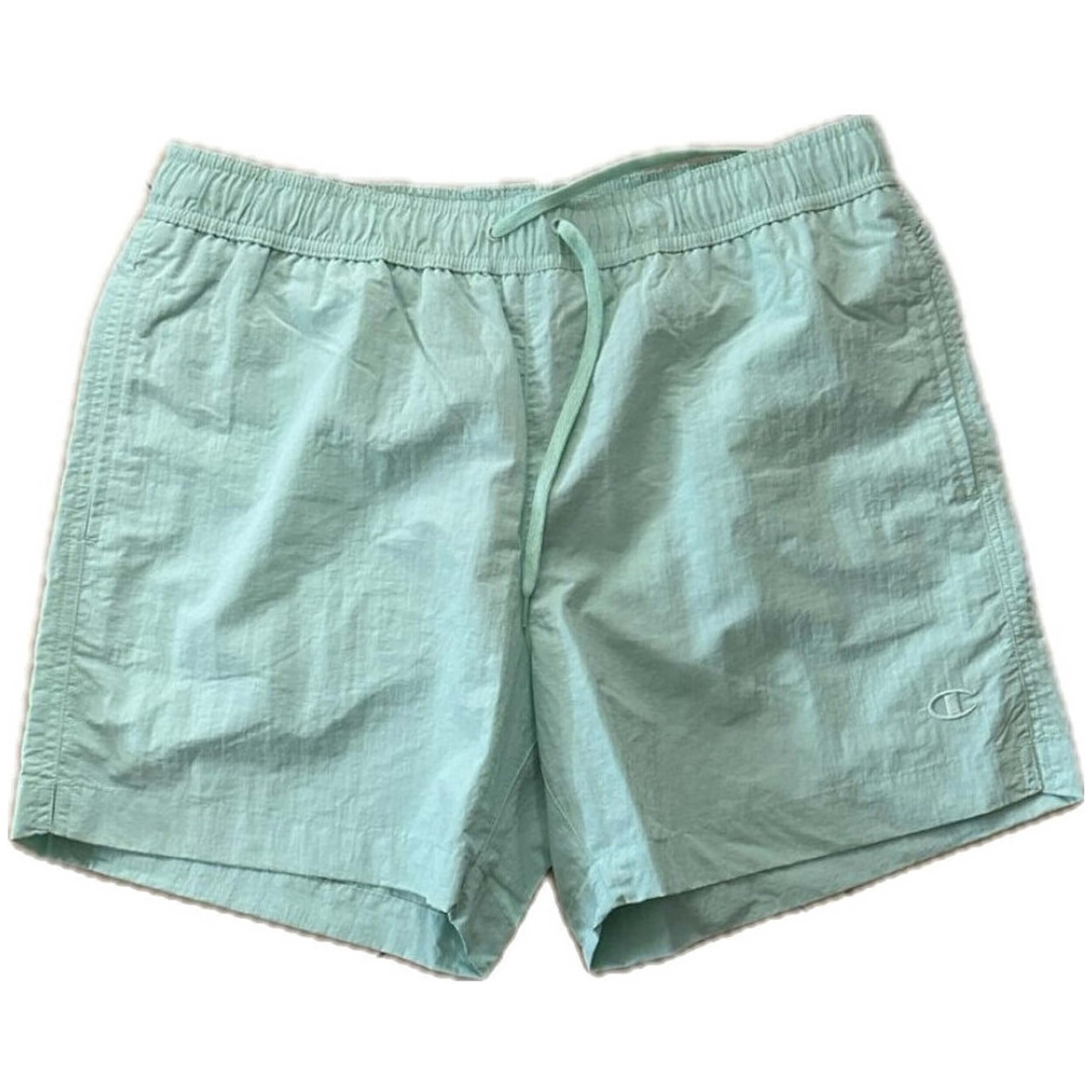  Champion 219982-Gs009