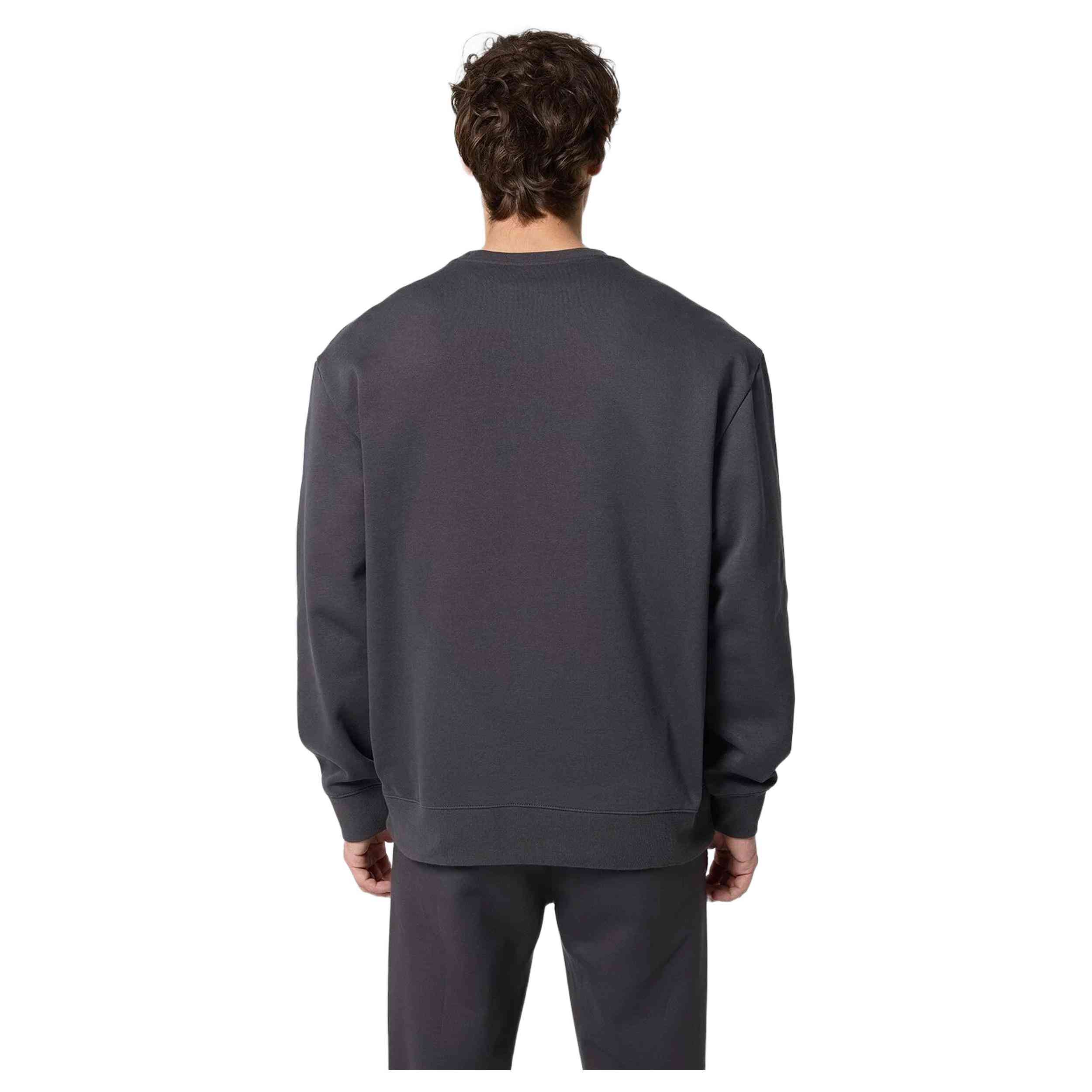 Sudadera Champion Authentic Athletic Apparel