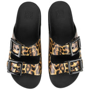 Imagen del producto con referencia 243103200001