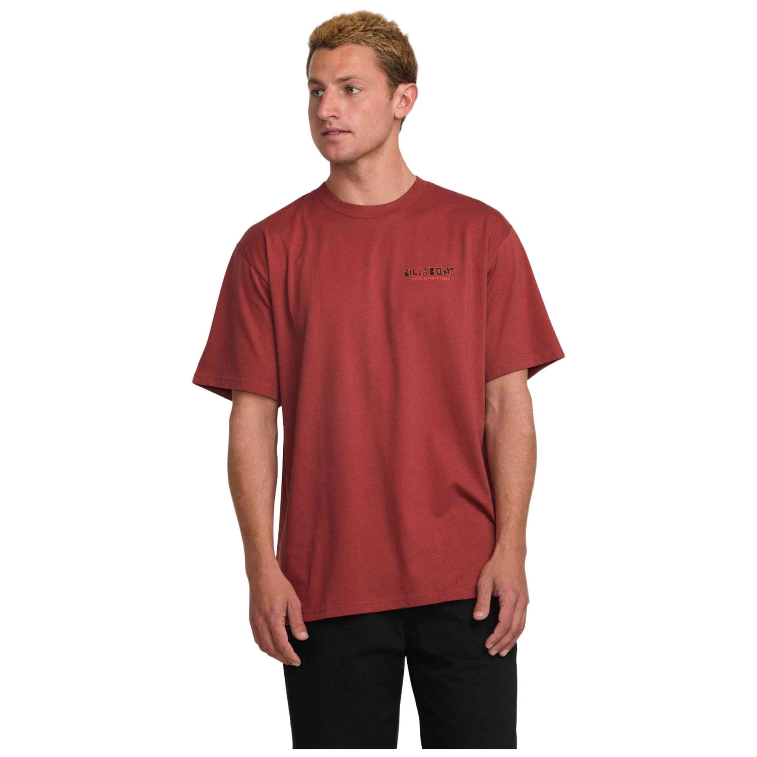 Camiseta De Manga Corta Billabong Twin Peaks