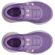 Imagen del producto con referencia 3025015-500