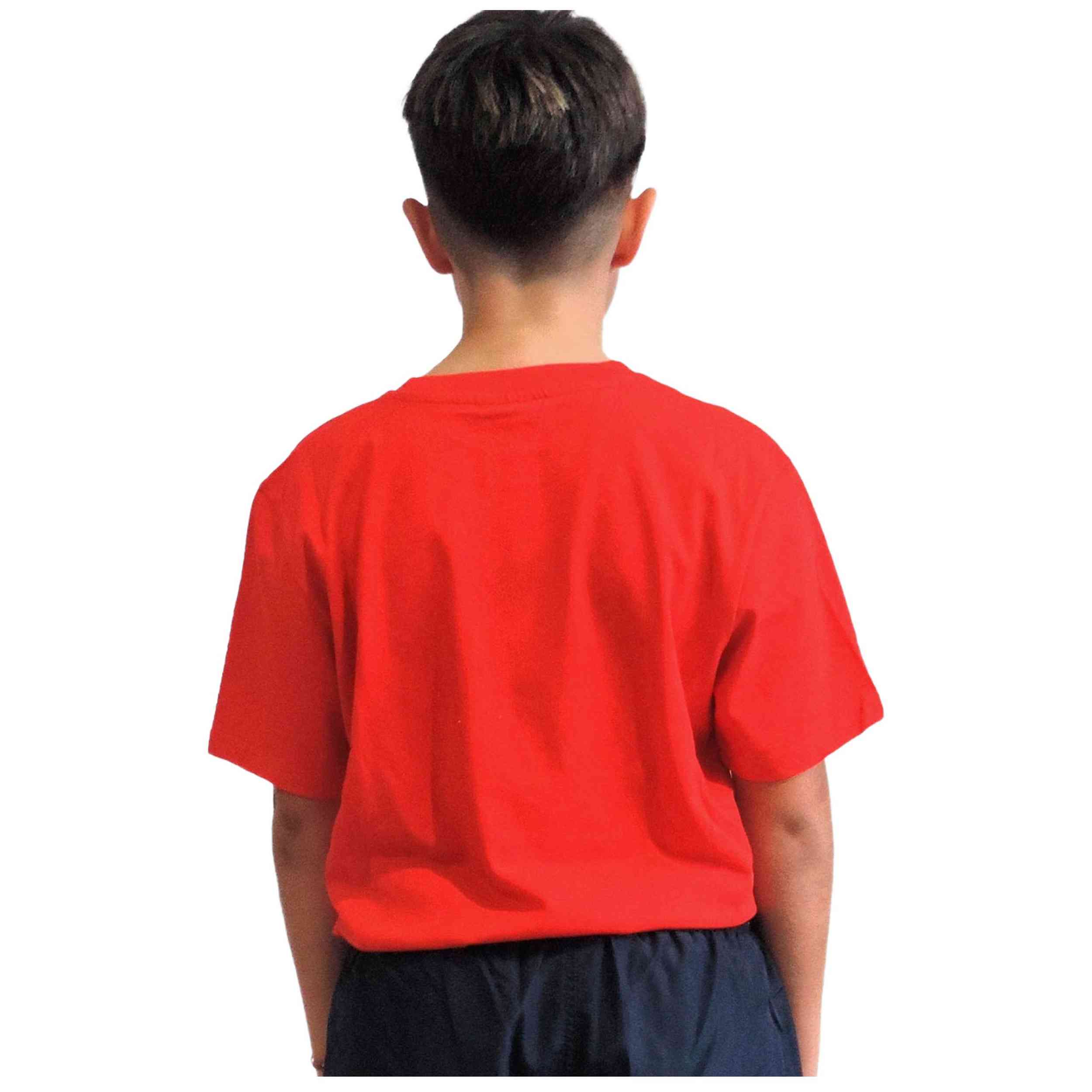 Imagen del producto con referencia 306052S22-RS046