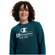 Champion sweatshirt