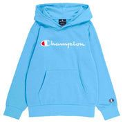  Champion 306747-Bs072