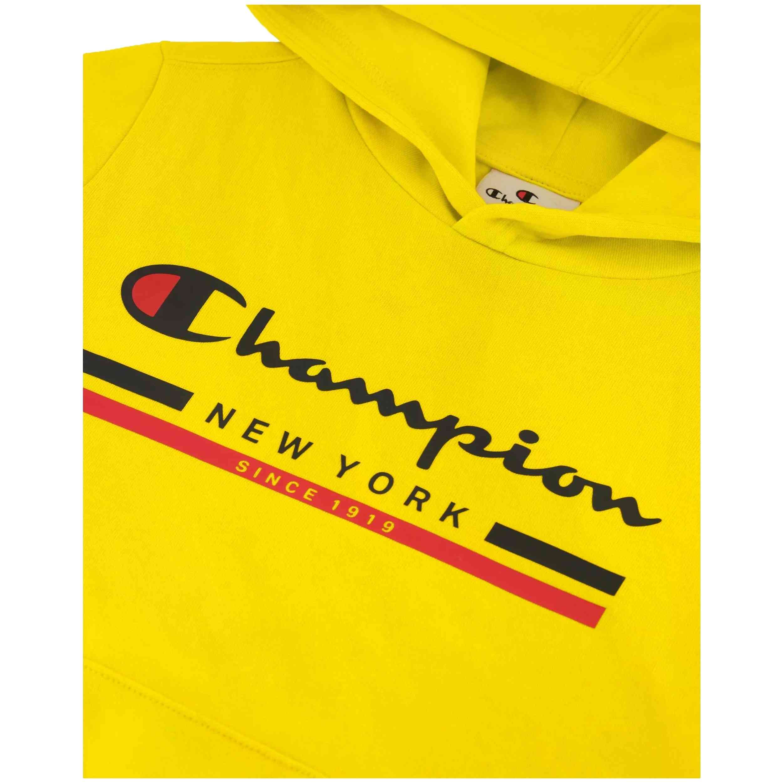 Sudadera Con Capucha Champion 306837-Ys079