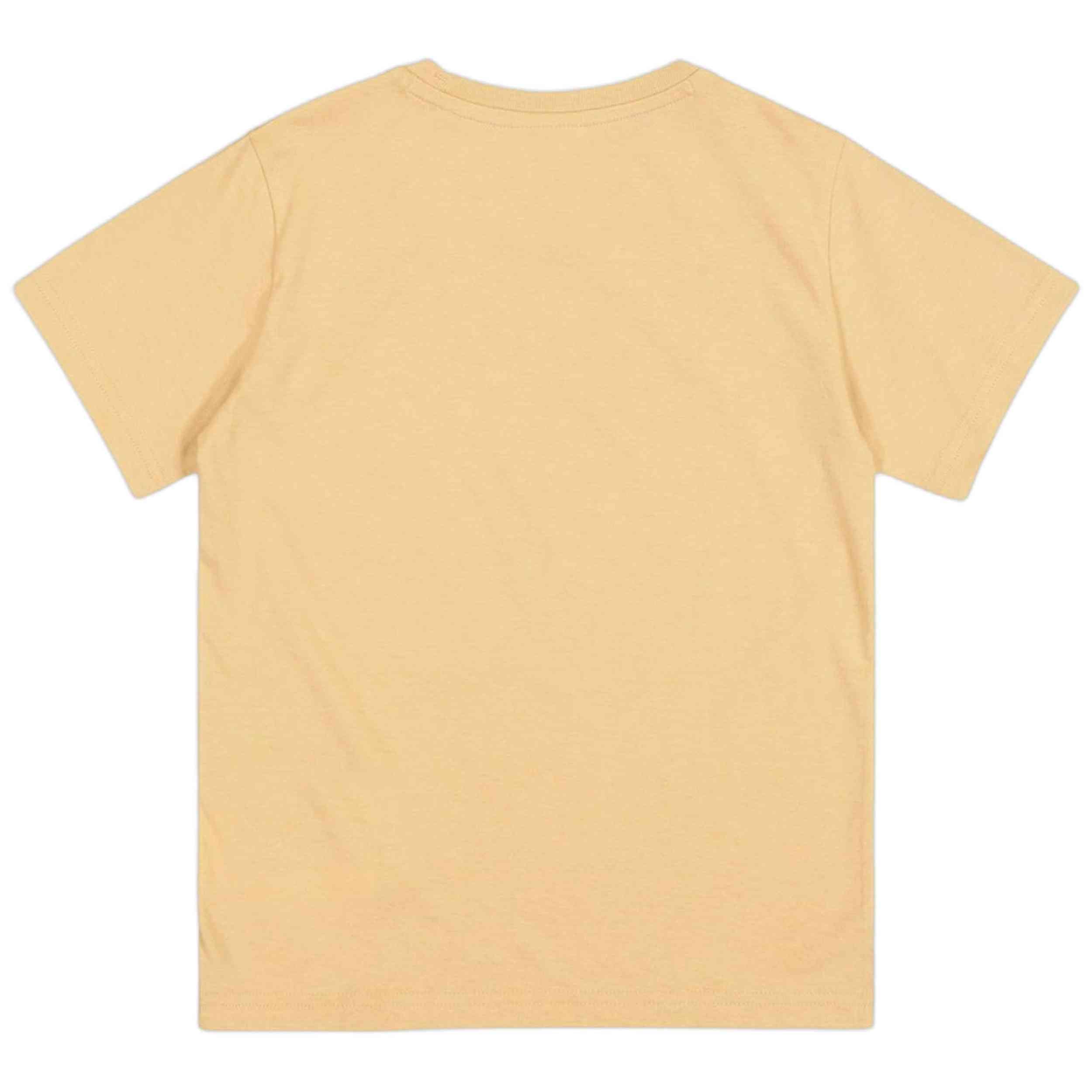 Camiseta De Manga Corta Champion 306879-Ms091