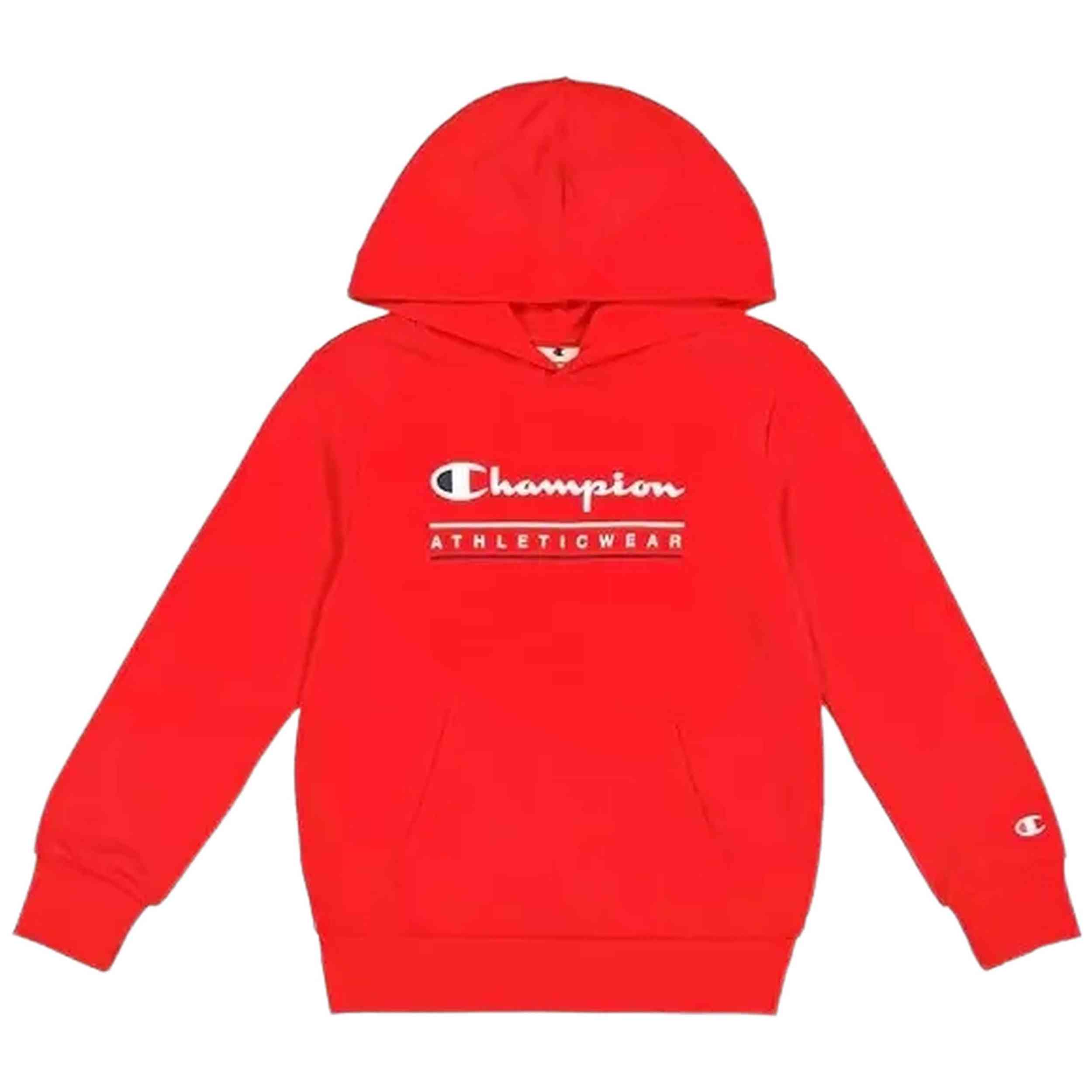 Sudadera Con Capucha Champion Legacy Graphic