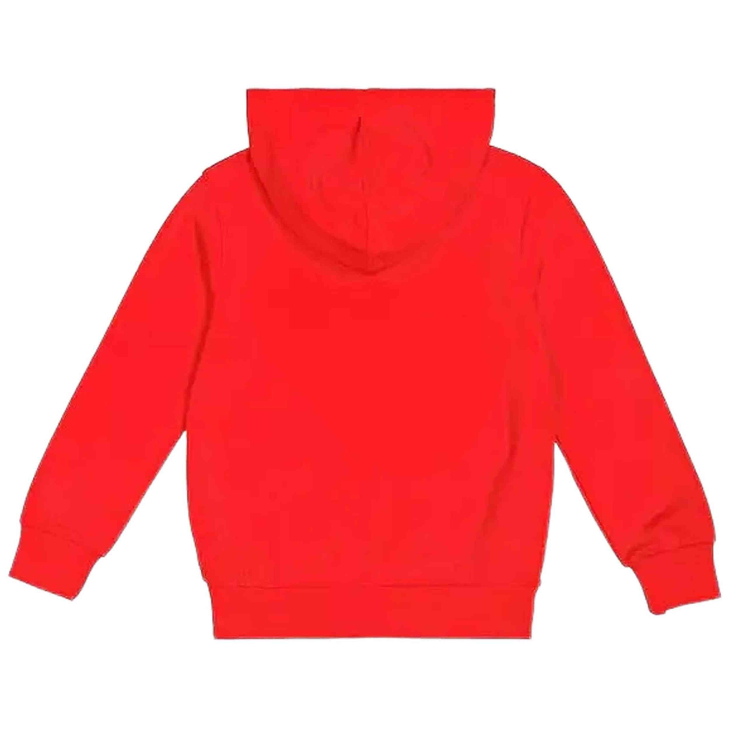 Sudadera Con Capucha Champion Legacy Graphic