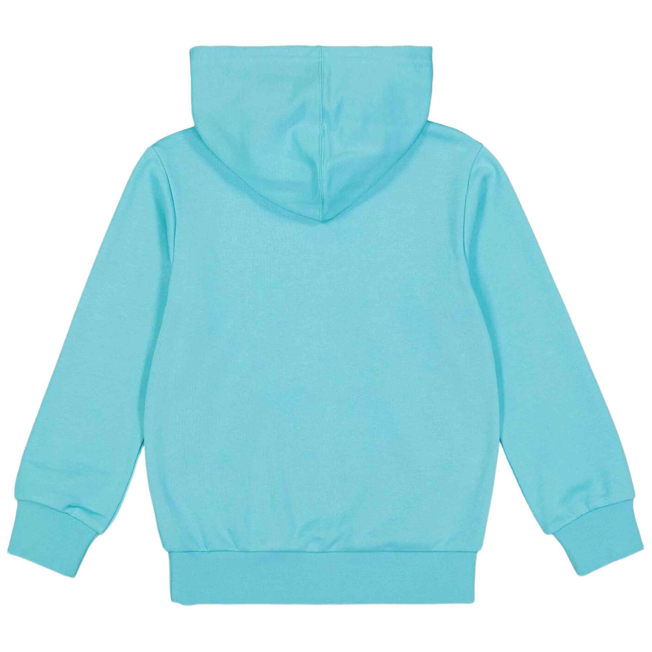 Sudadera Con Capucha Champion 307041-Bs184