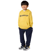 Imagen del producto con referencia 307253-YS153