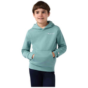 Imagen del producto con referencia 307311-BS199