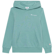 Imagen del producto con referencia 307311-BS199