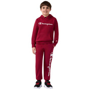 Imagen del producto con referencia 307352RS525