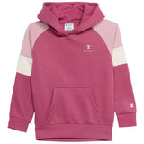 Sudadera Con Capucha Champion