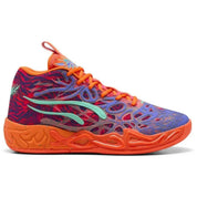Imagen del producto con referencia 311690-01