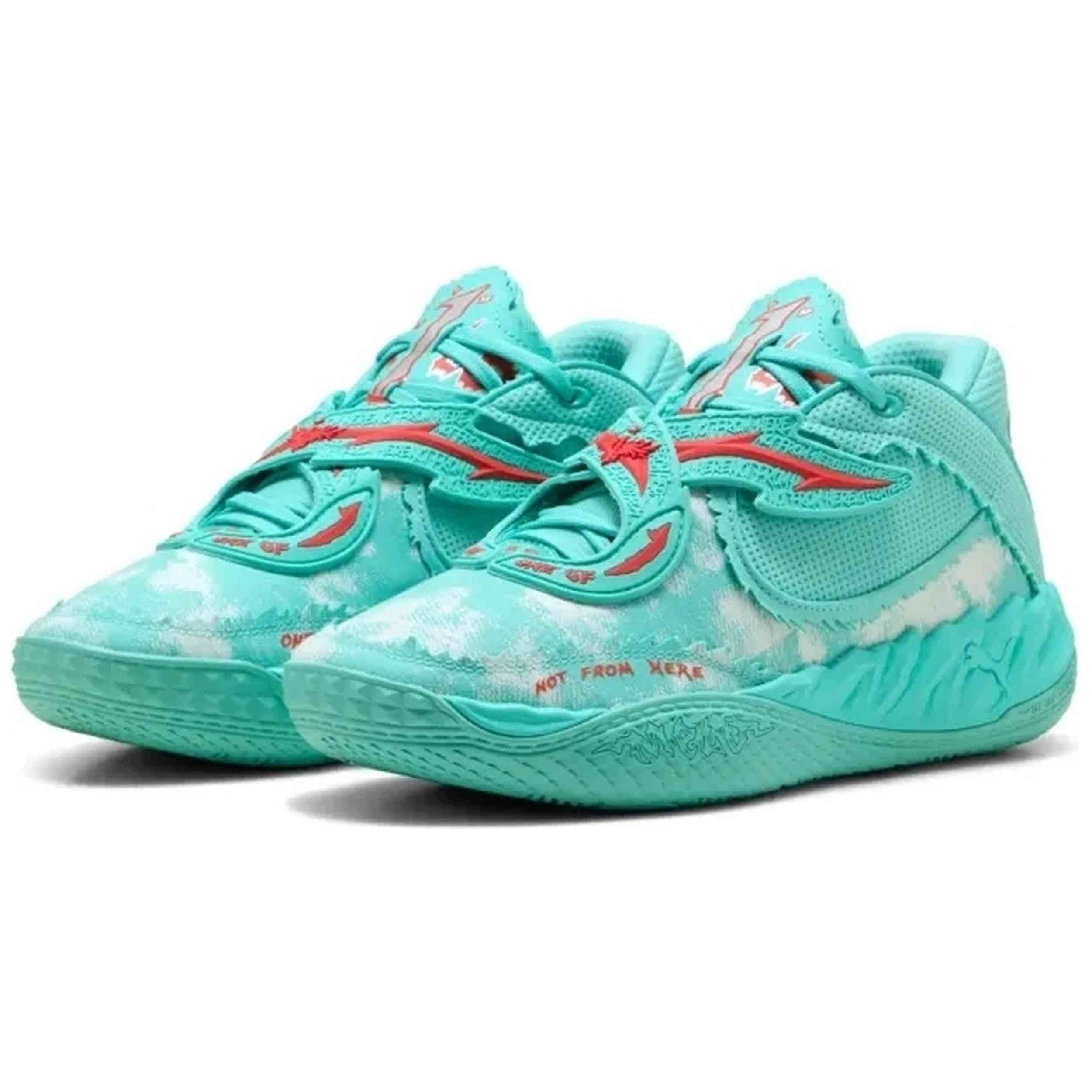 Imagen del producto con referencia 312804-01