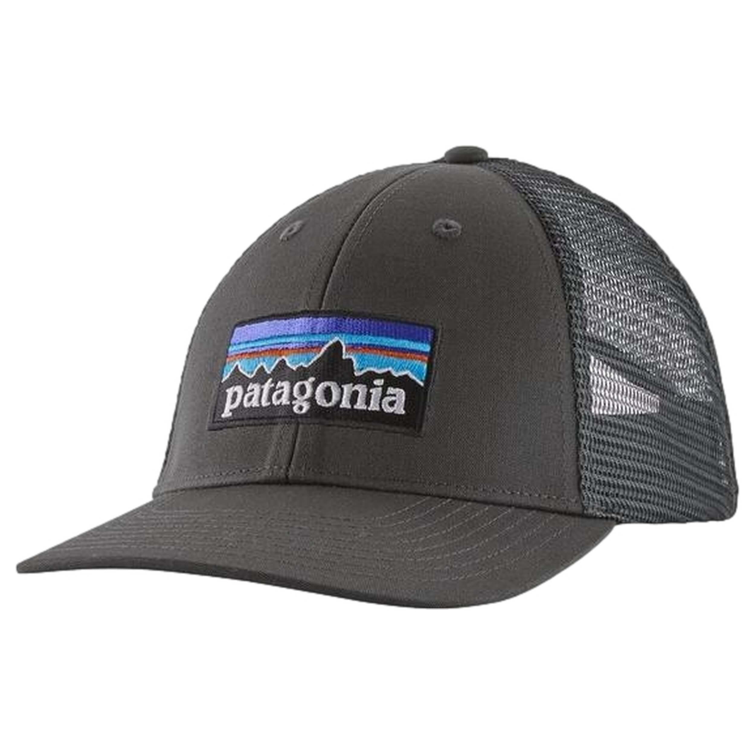 Gorra Patagonia P-6 Logo Lopro