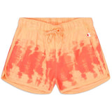 Champion Shorts