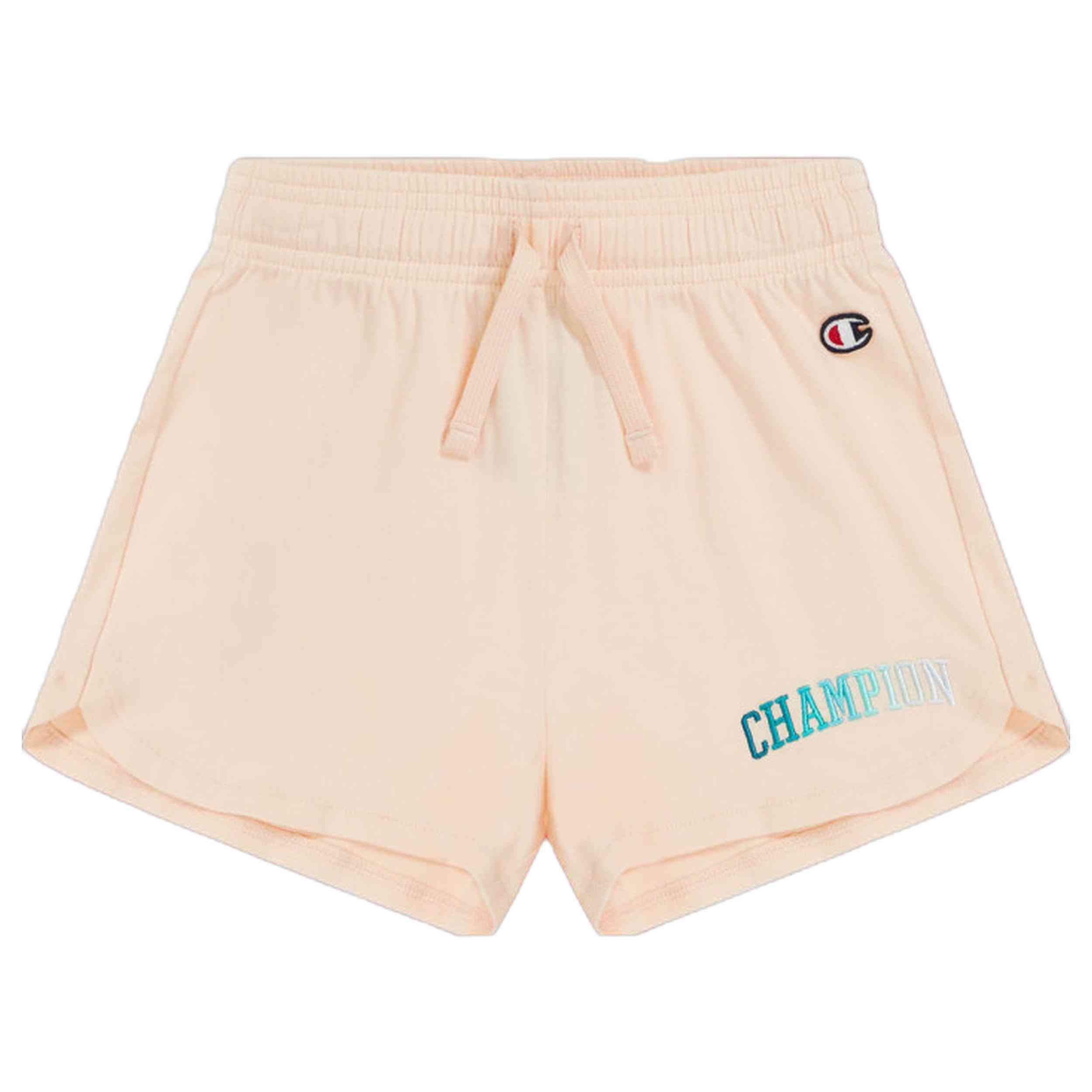  Champion 404987-Ps187