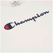  Champion 404998-Ww001