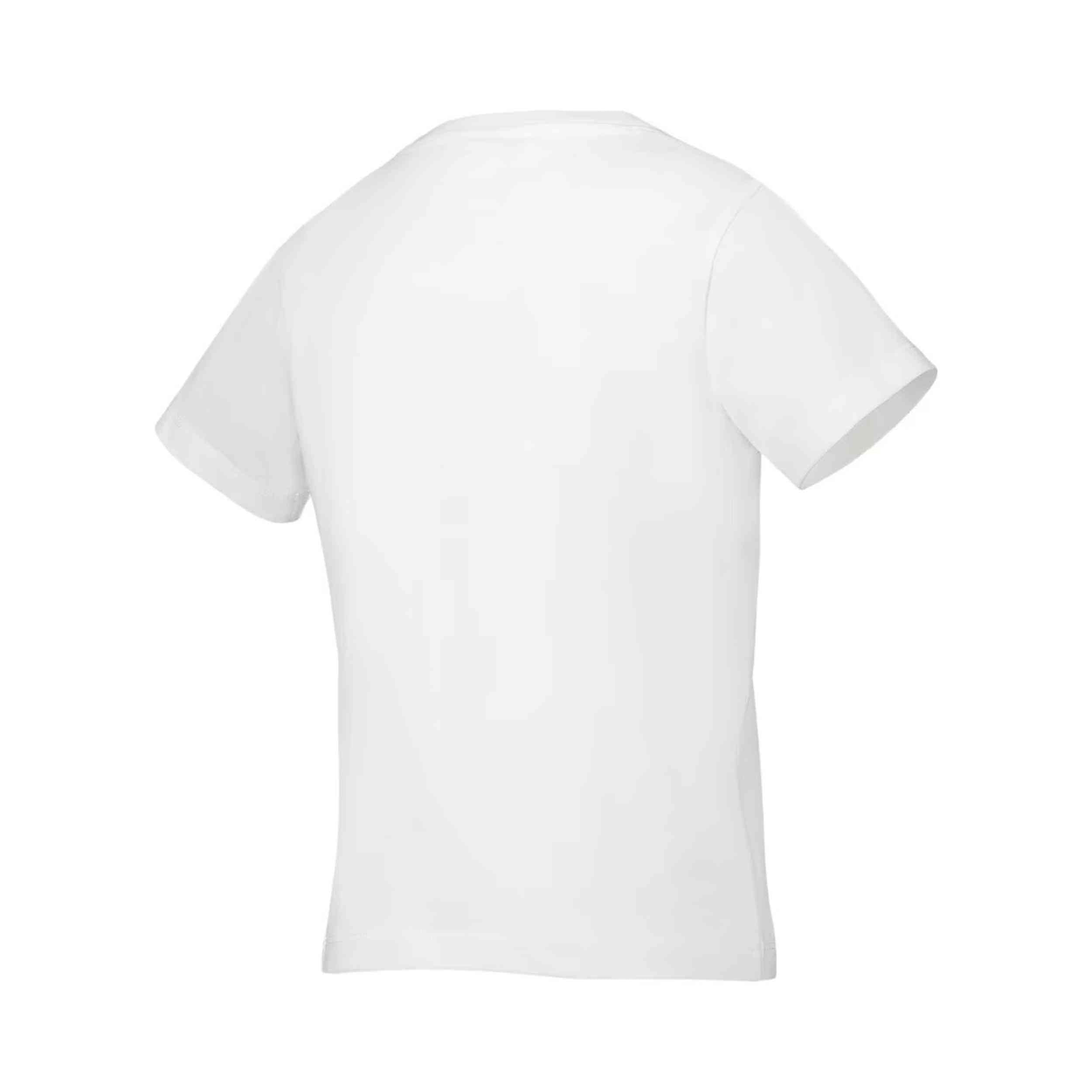  Champion 404998-Ww001