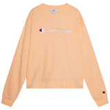 Sudadera Con Capucha Champion