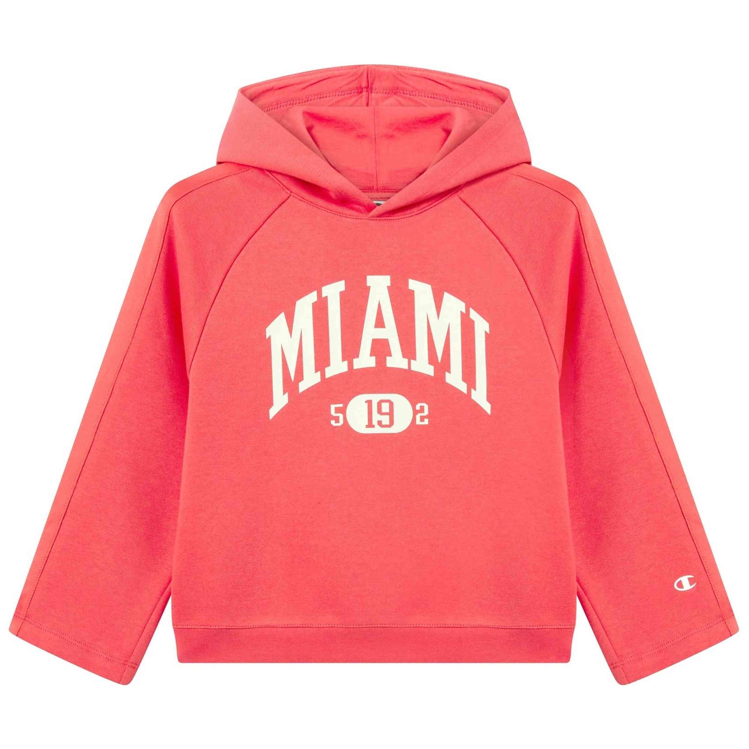 Imagen del producto con referencia 405226-RS073