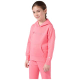 Sudadera Con Capucha Champion