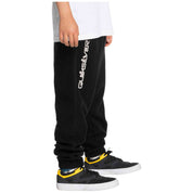 Pantalon Largo Quiksilver Essentials Polar