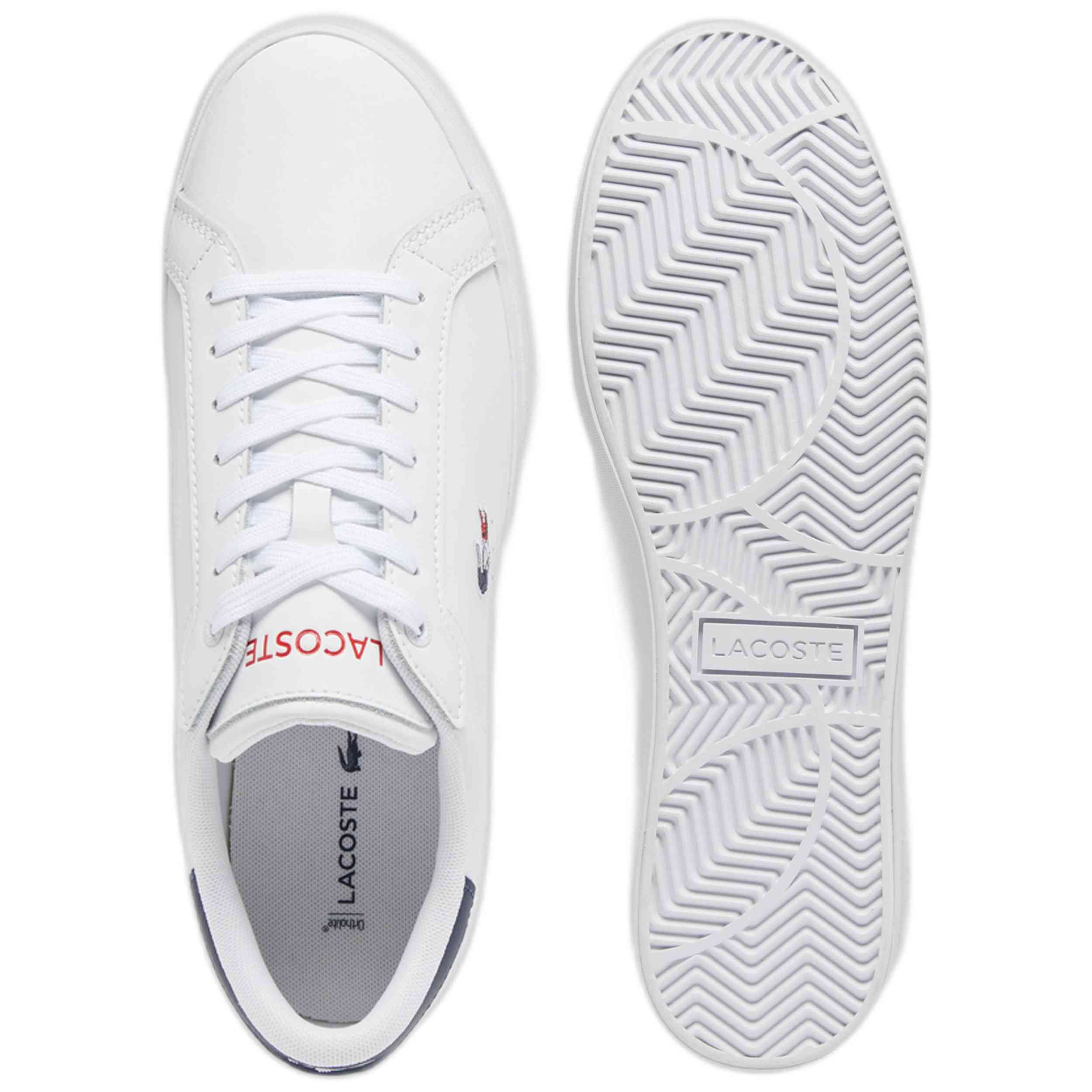 Zapatillas Lacoste Powercourt