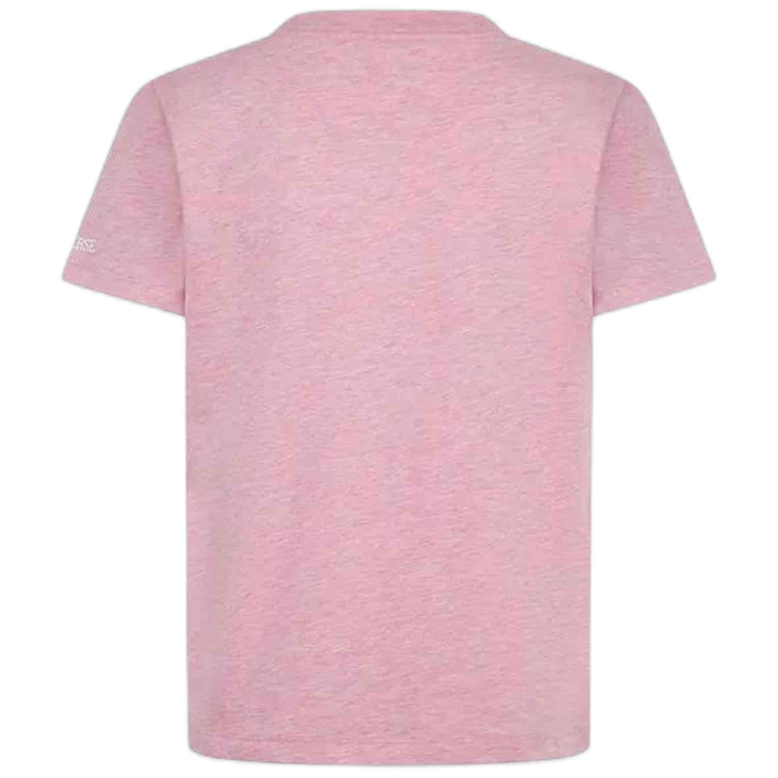 Imagen del producto con referencia 4CG817-RAF