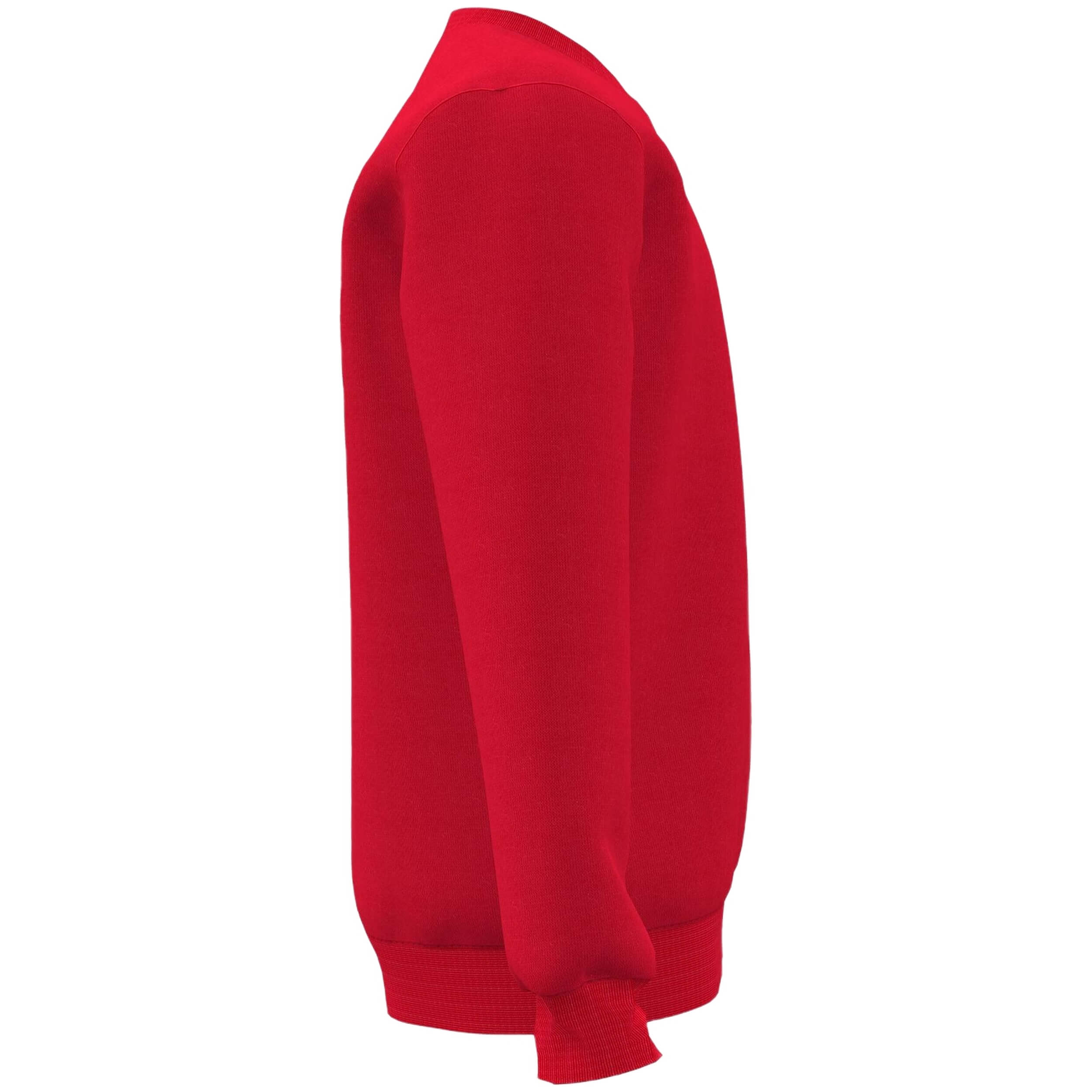 Sudadera Joma Lion