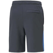 Puma Clsx Shorts Tr Shorts