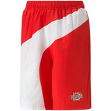 Pantalon Corto Puma