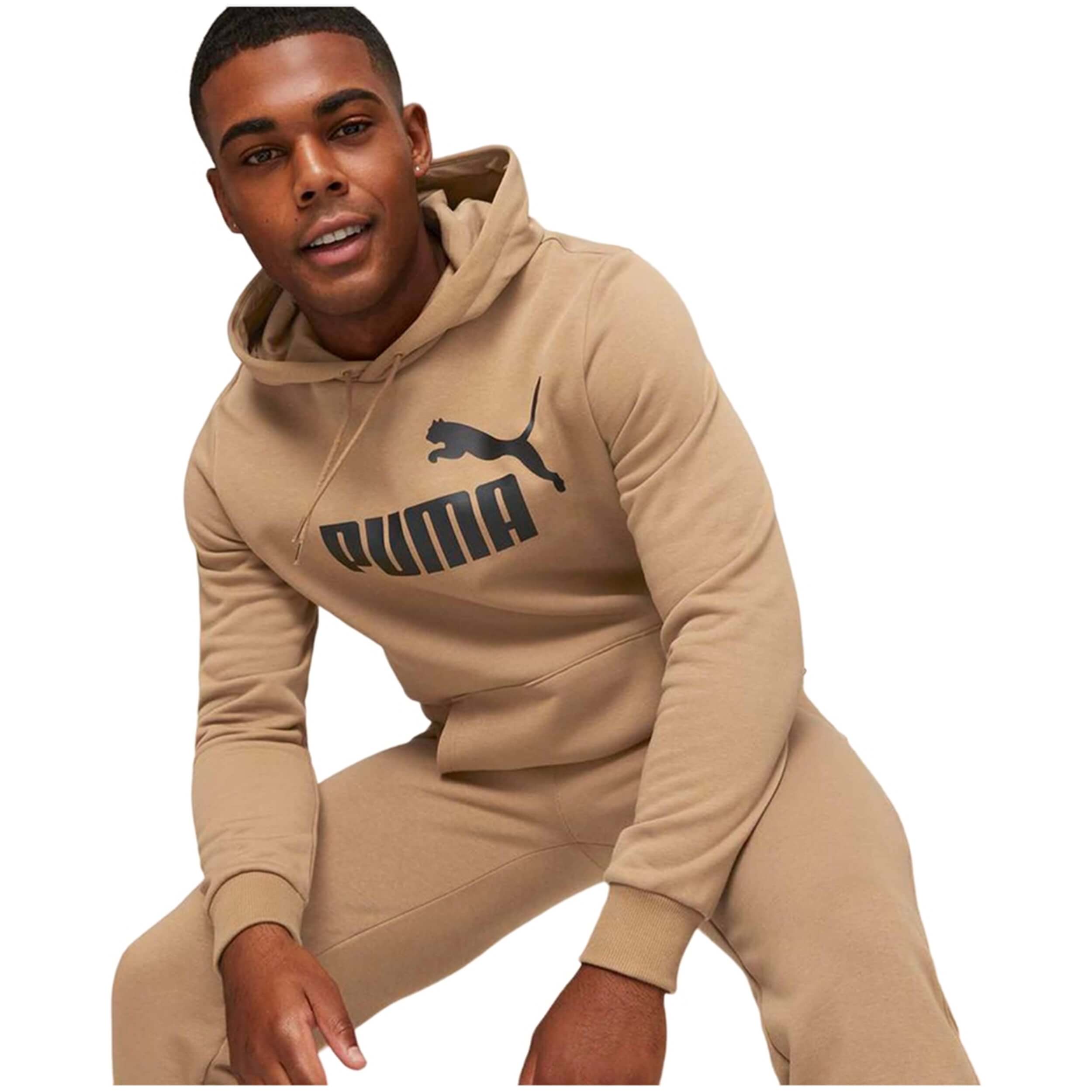 Sudadera Con Capucha Puma Essentials Big Logo