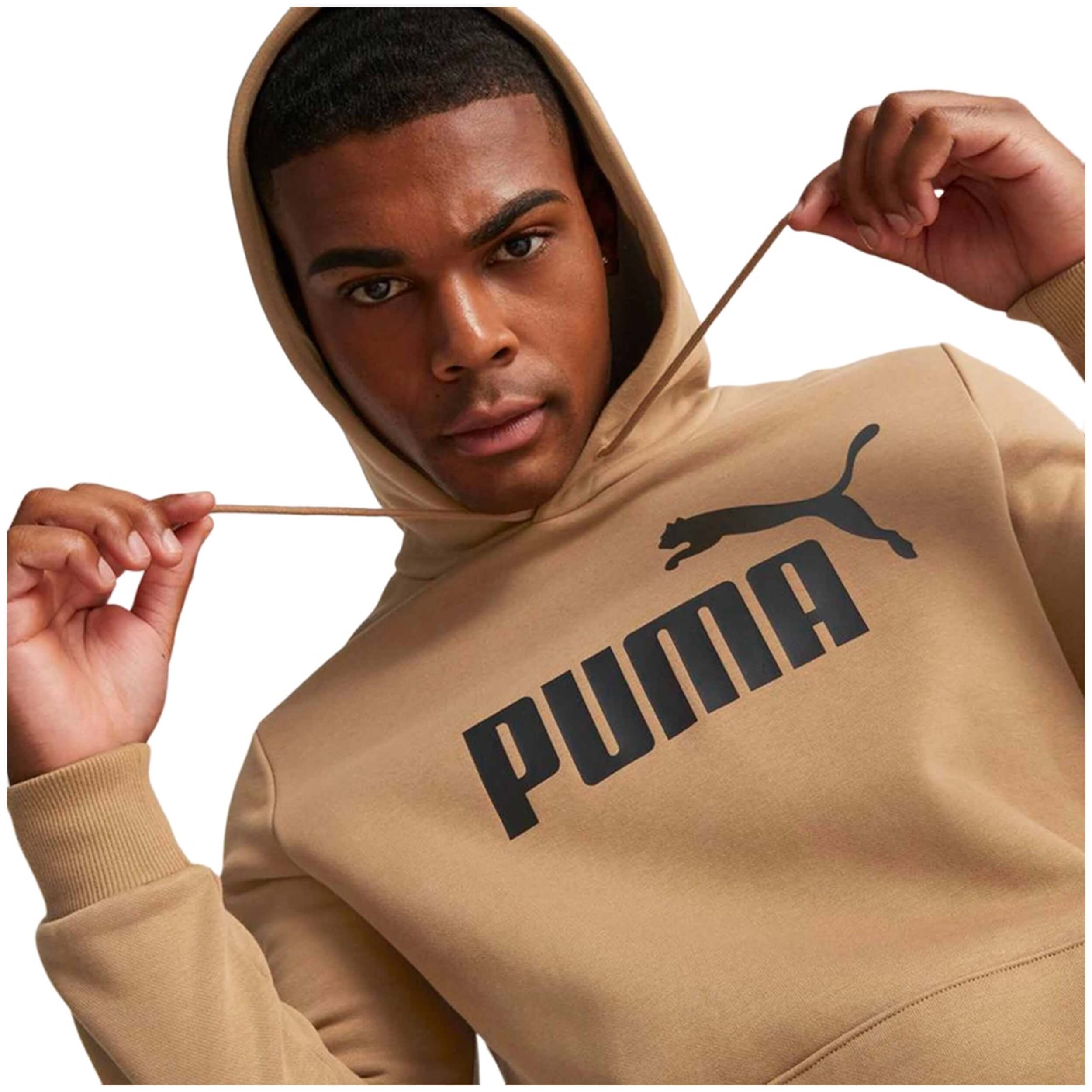 Sudadera Con Capucha Puma Essentials Big Logo
