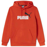 Sudadera Con Capucha Puma