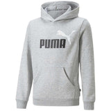 Sudadera Con Capucha Puma Ess+ 2 Col Big Logo