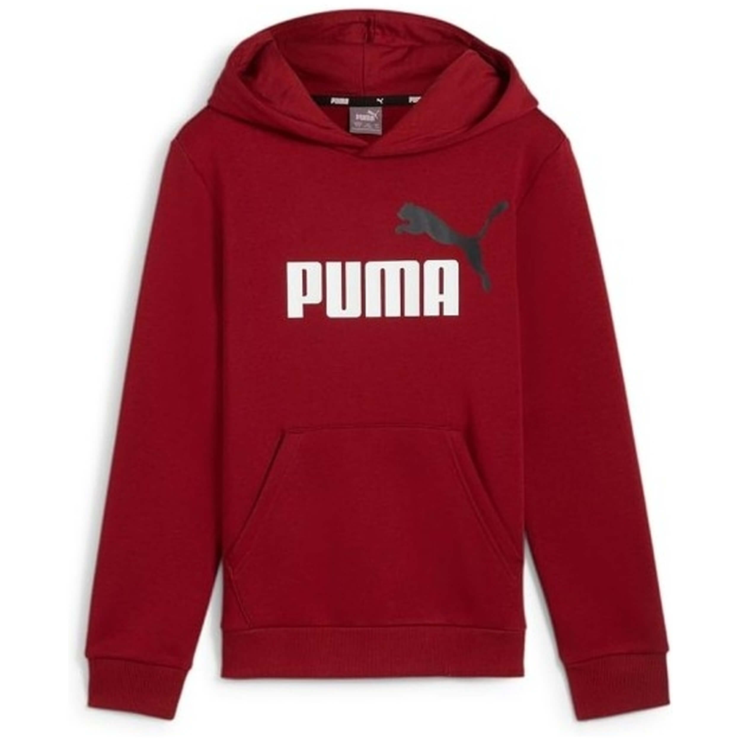 Sudadera Con Capucha Puma Essentials + 2
