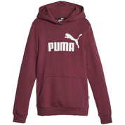 Puma Essentials Logo Hoodie