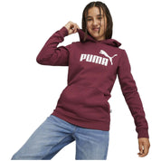 Puma Essentials Logo Hoodie