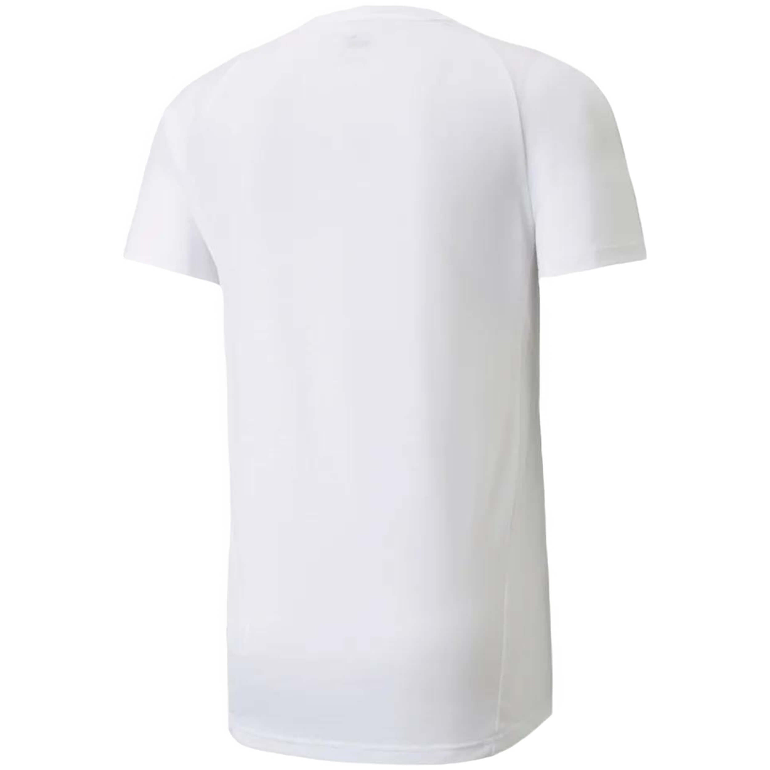 Camiseta De Manga Corta Puma Evostripe