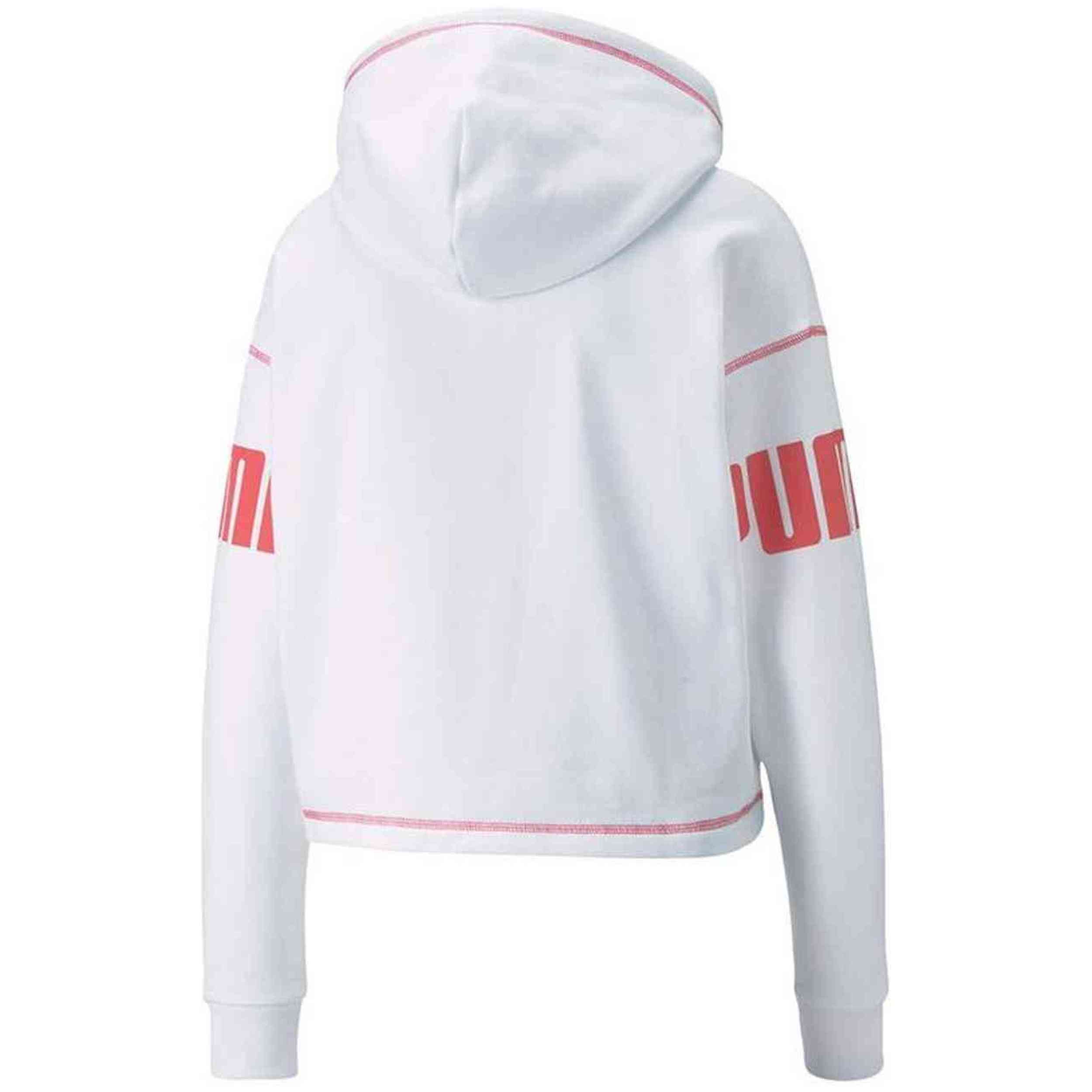 Sudadera Con Capucha Puma Power Fl