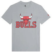 Camiseta De Manga Corta New Era Nba 23 Chicago Bulls