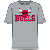 Camiseta De Manga Corta New Era Nba 23 Chicago Bulls
