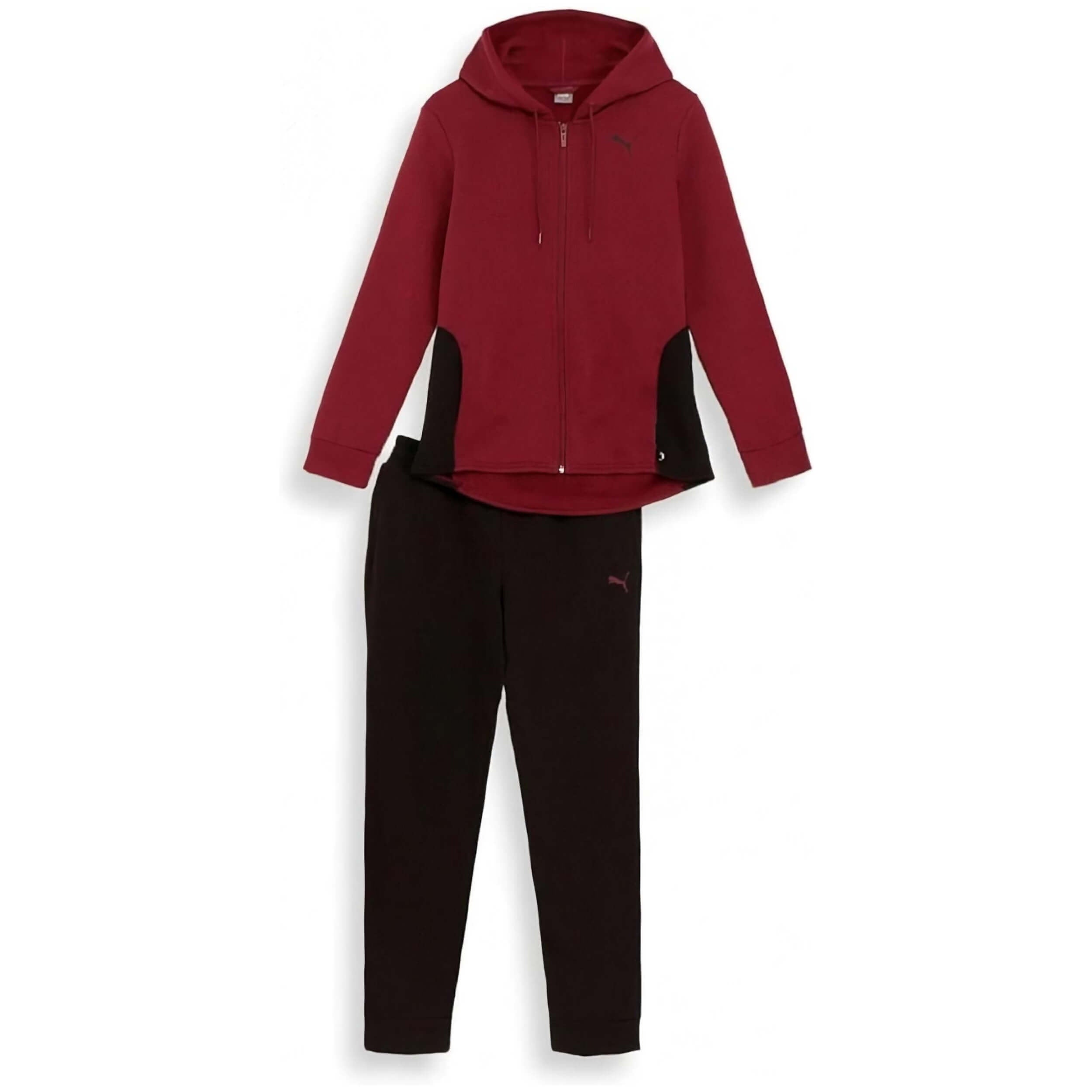 Chandal Puma 622637-22