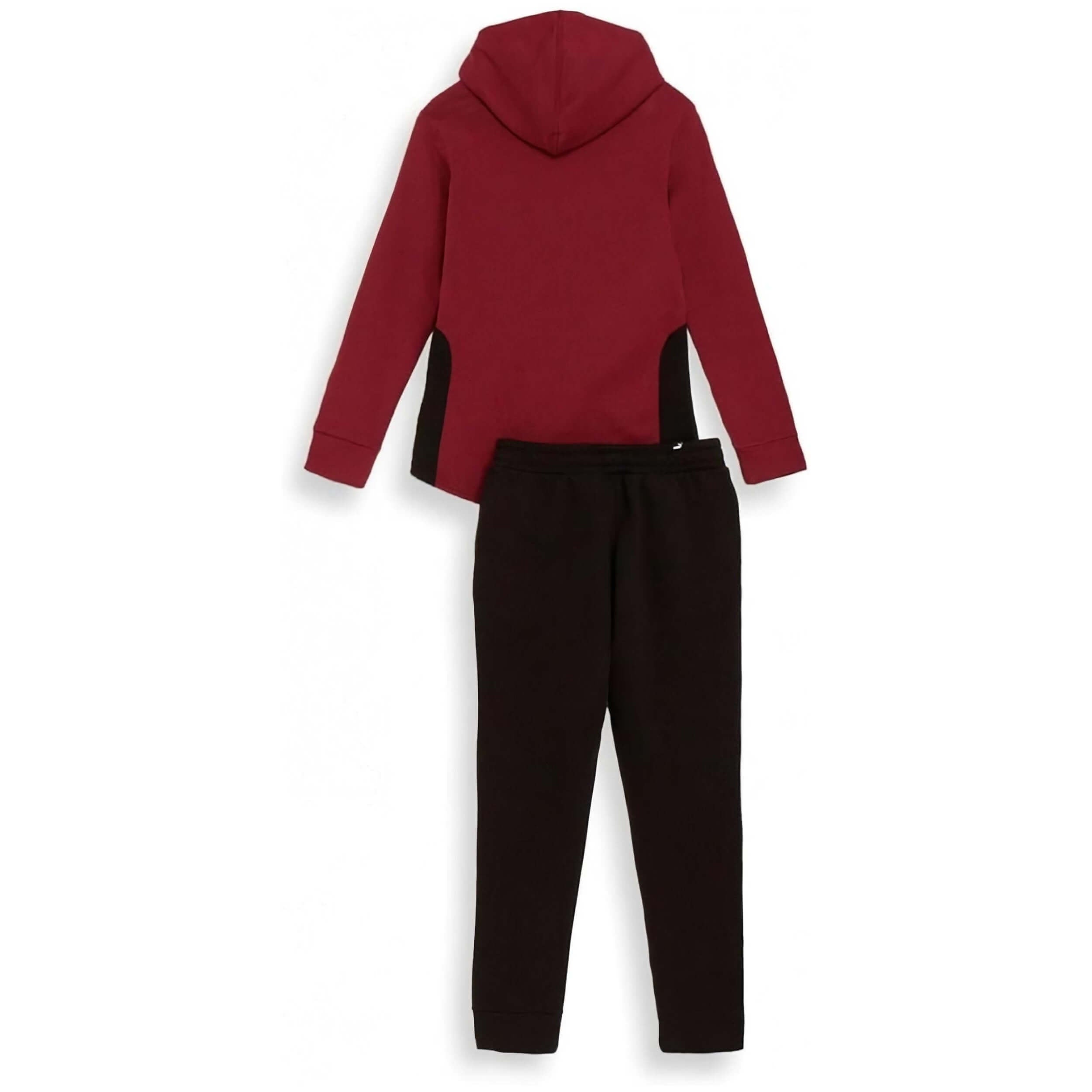 Chandal Puma 622637-22