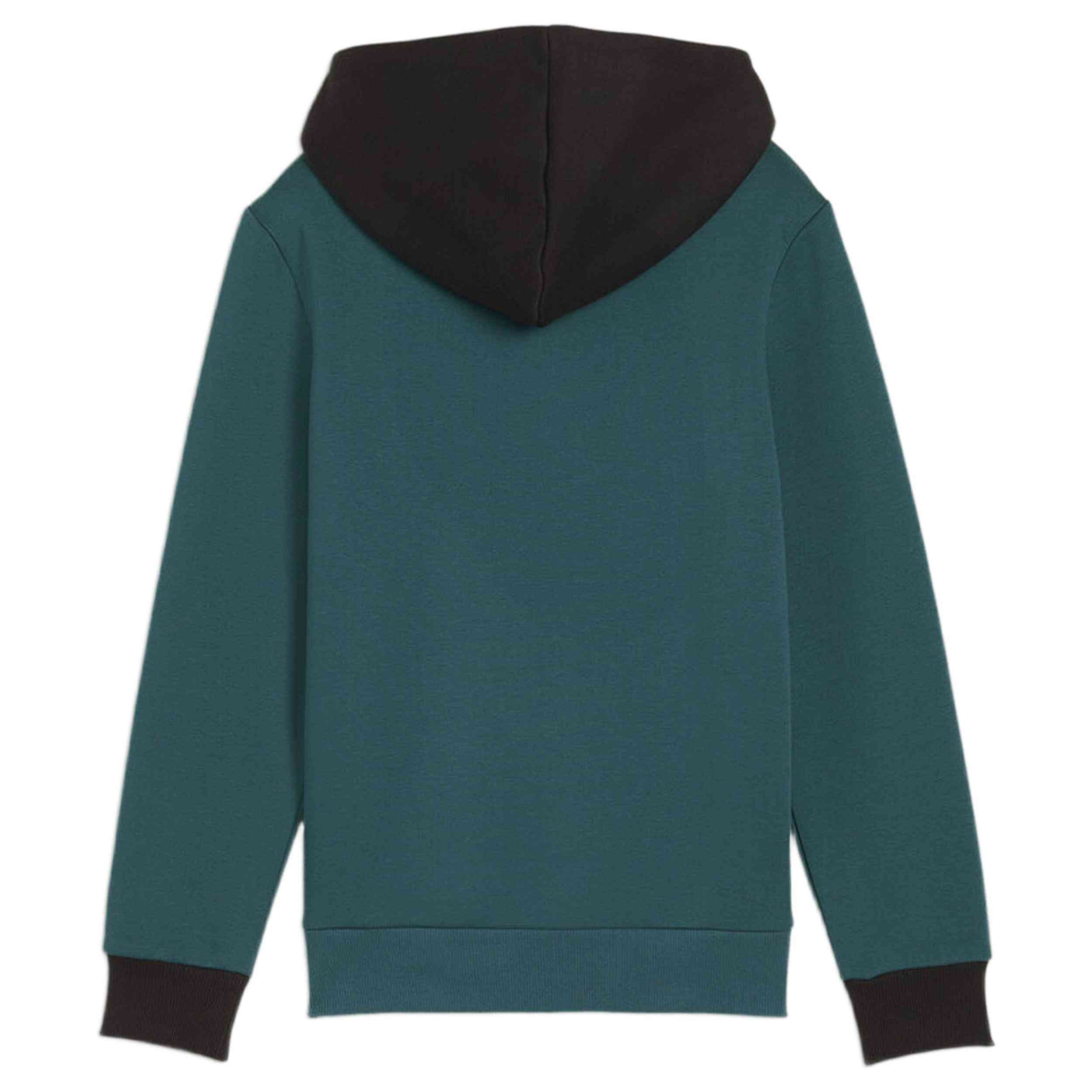 Sudadera Con Capucha Puma Blueprint